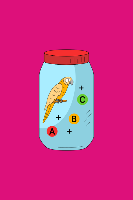 Vitaminer, zoolac & lys til fugle