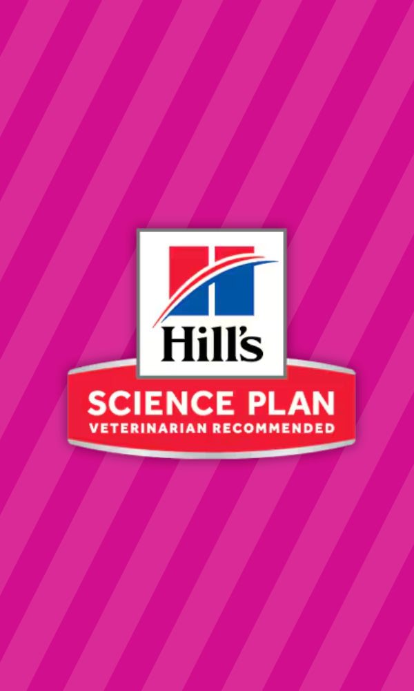 Hill's Science Plan til katte – Sundhed, smag og videnskab i én skål