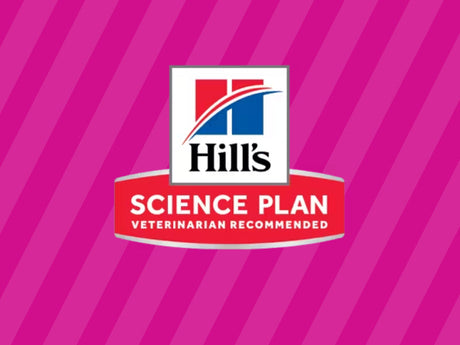 Hill's Science Plan – Hundefoder Din Hund Vil Elske
