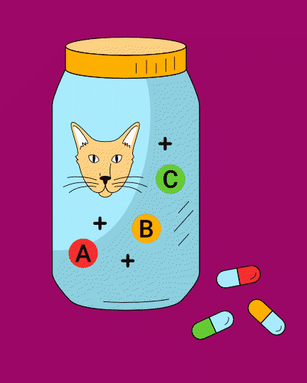 Vitaminer, Mineraler & Omega-Olie til kat – Tilskud til sundhed og trivsel