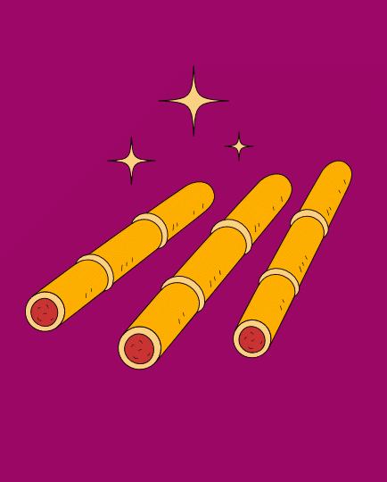 Luksus godbidder til katte