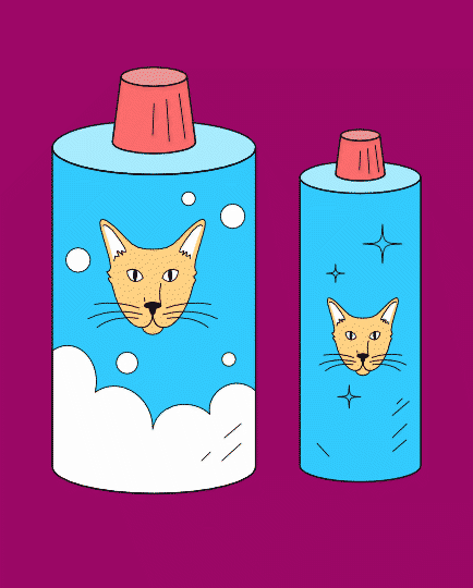 Shampoo & Balsam til katte – Skånsom pelspleje for selv de mest sarte misser