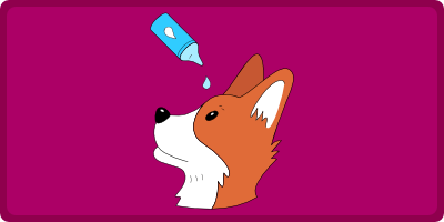Øjenpleje & Øjenlidelser hos Hunde – Beskyt de smukkeste øjne