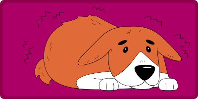 Stress, Angst & Utryghed hos Hunde – Skab ro i krop og sind