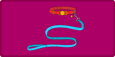 Katteseler og halsbånd