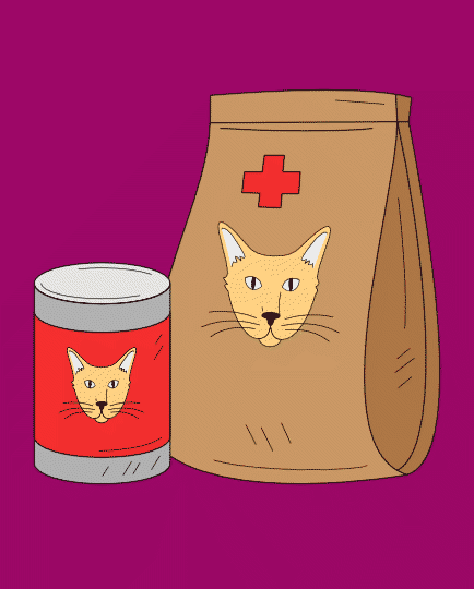 Veterinærfoder til katte – Dyrlægeanbefalet foder til sygdom og specialbehov