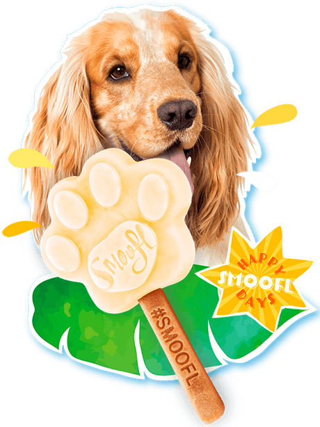 Smoofl  is mix til hunde