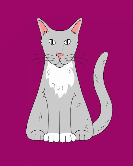Alt til Kat – Find alt udstyr, foder og pleje til din kat her