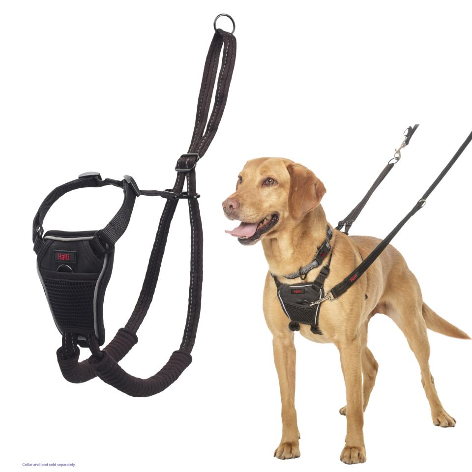NO-PULL Harness, træningssele til hunde der trækker