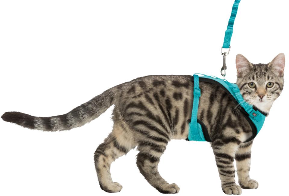 Kattesele til katte med line, Mesh Y-Sele