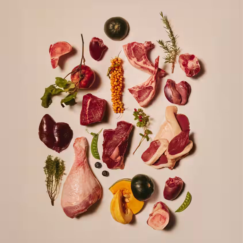 Hundegodbidder Soft med And fra Carnilove - Korn- & Glutenfri
