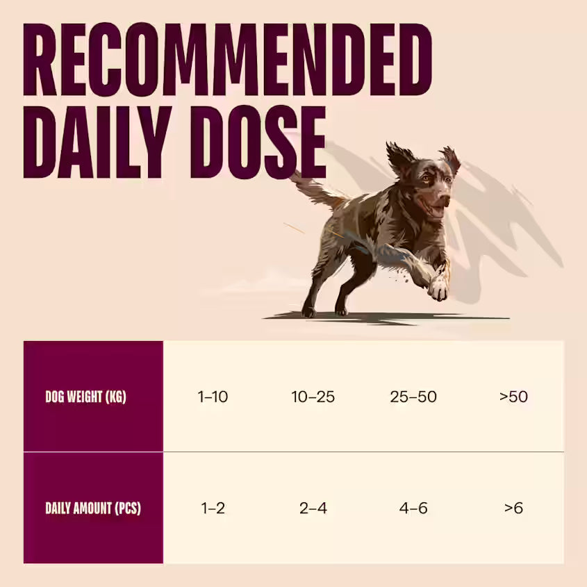 Hundegodbidder Jerky med Kalkun & Vildtkød fra Carnilove - Korn- & Glutenfri