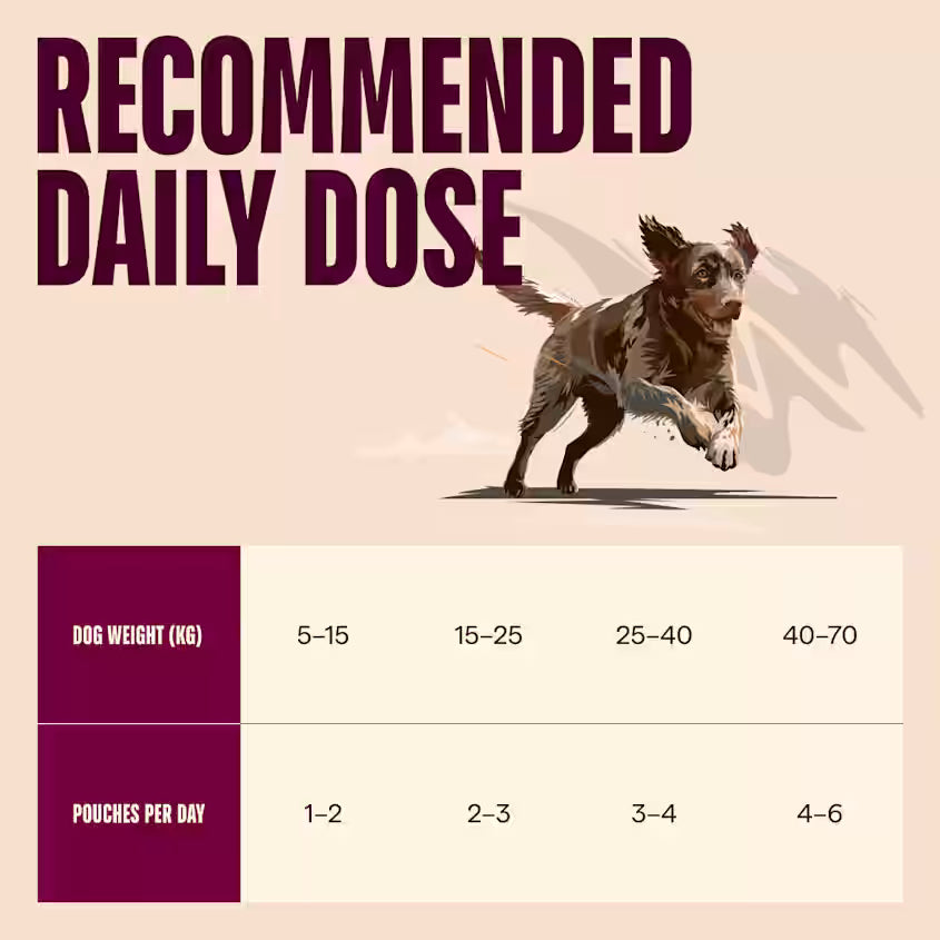 Vådfoder POUCH Paté, Kornfri & Glutenfri med kalkun, fasan & hindbærblade til hunde