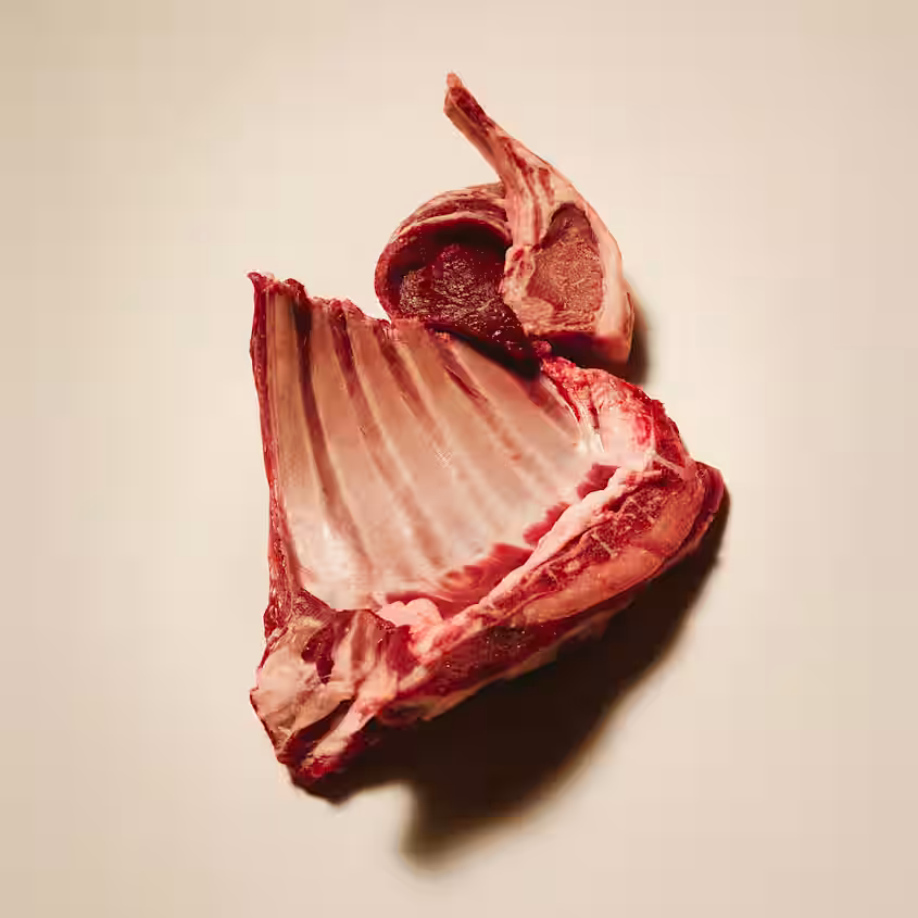 Hundegodbidder Crunchy med Laks fra Carnilove - Korn- & Glutenfri