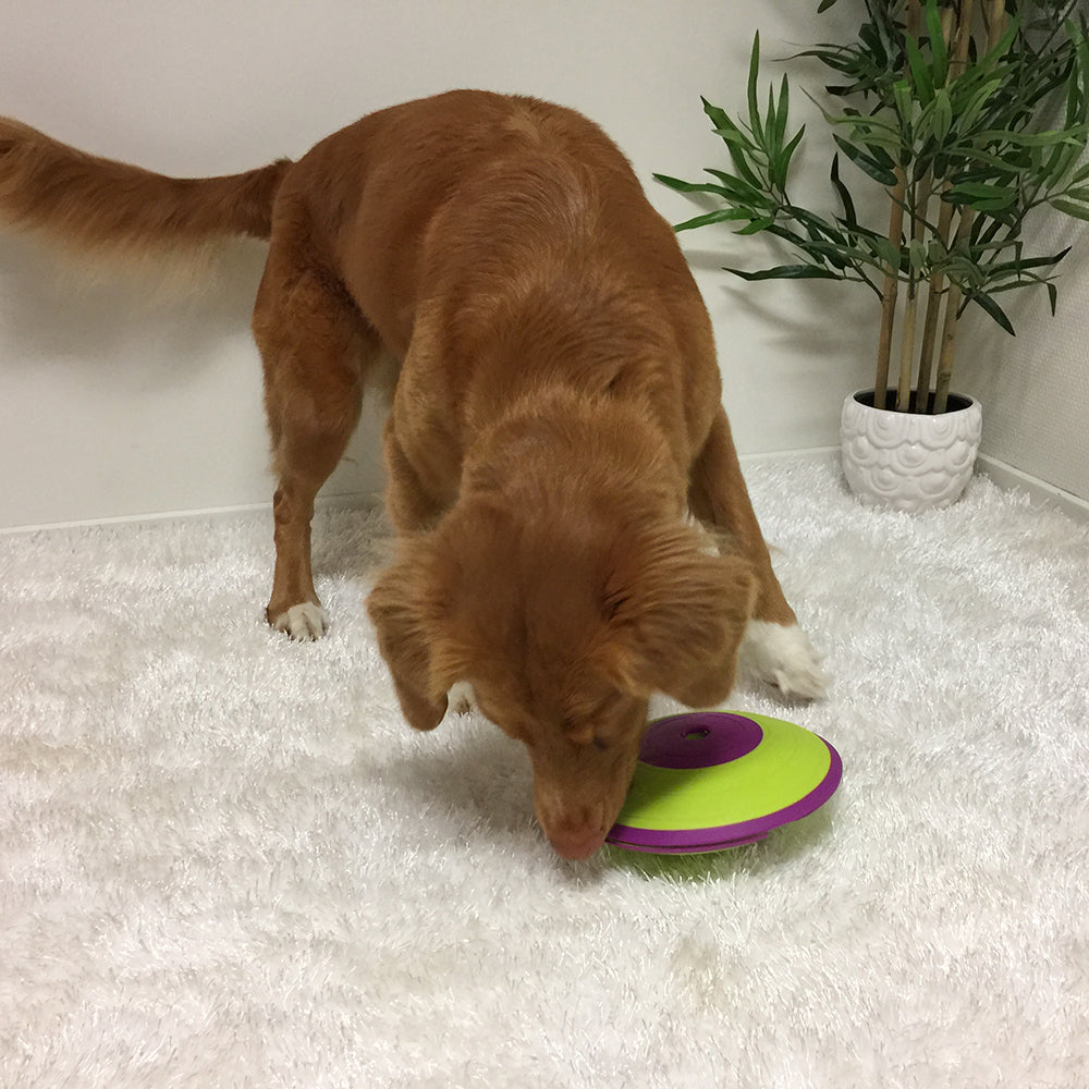 Aktivitetslegetøj  "Dog Treat Maze" naturlig - til hunde SV2