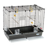 Fuglebur til undulater fra Ferplast, Floor 6, 87 x 46,5 x 70cm