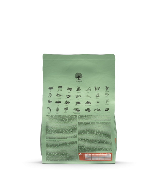 Essential Killing, Little Lion, kornfrit kattemad