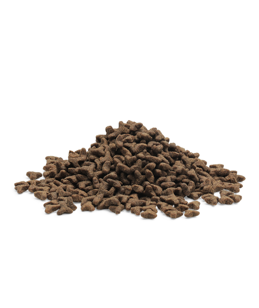 Essential Killing, Little Lion, kornfrit kattemad