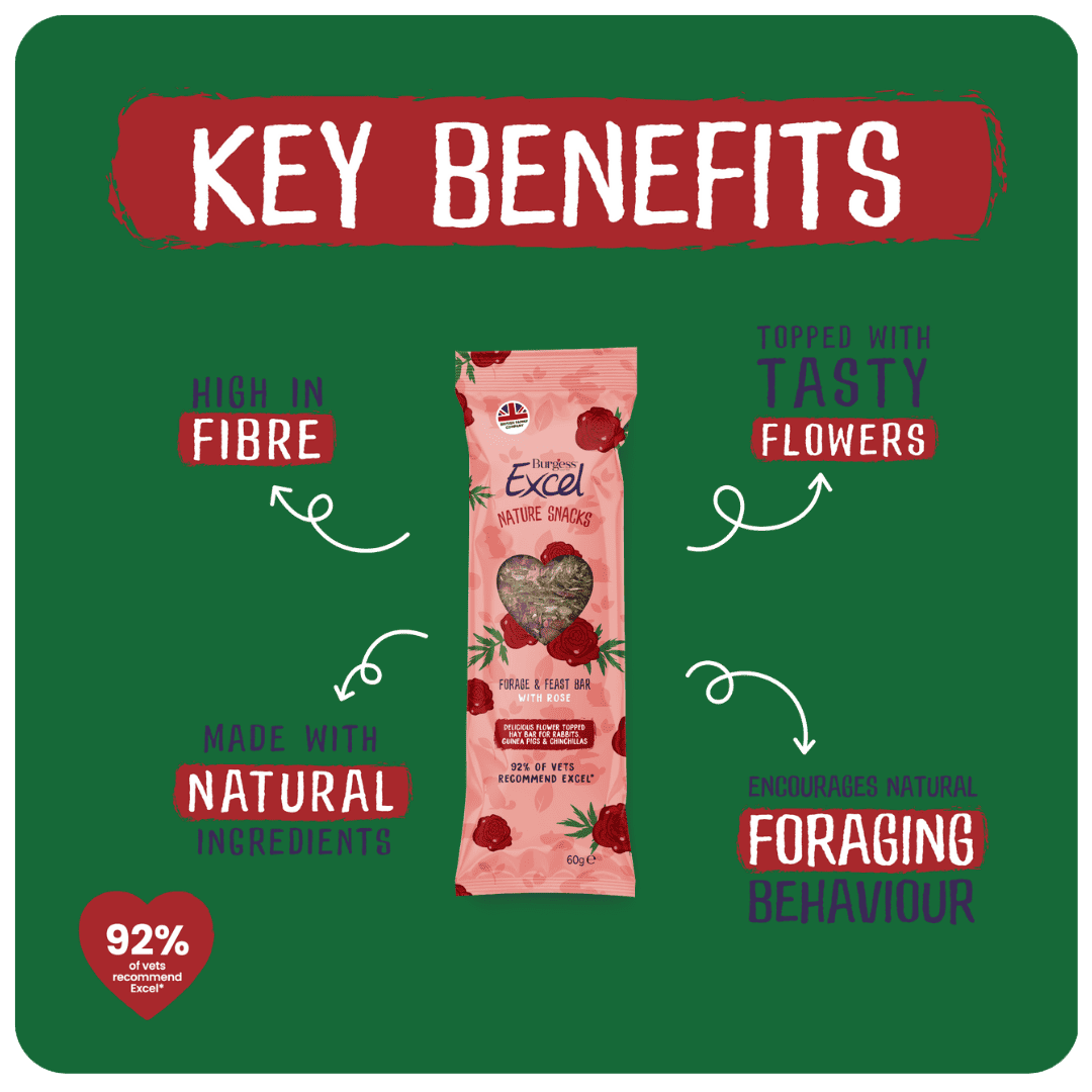 Burgess Excel Forage & Feast Bar Rose
