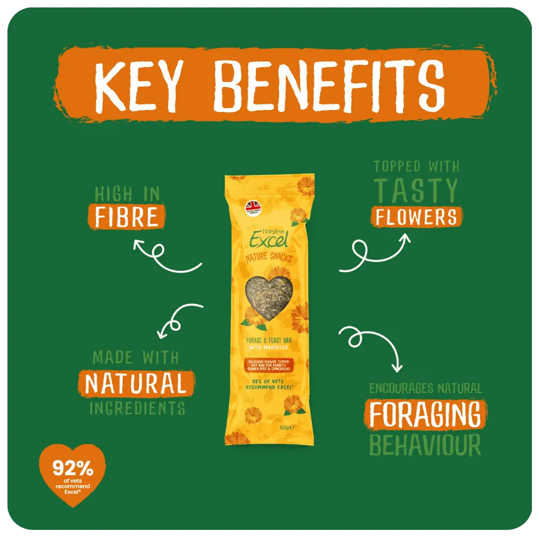 Burgess Excel Forage & Feast Bar Marigold