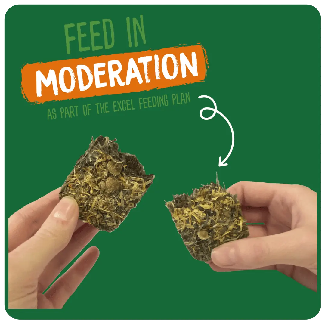 Burgess Excel Forage & Feast Bar Marigold