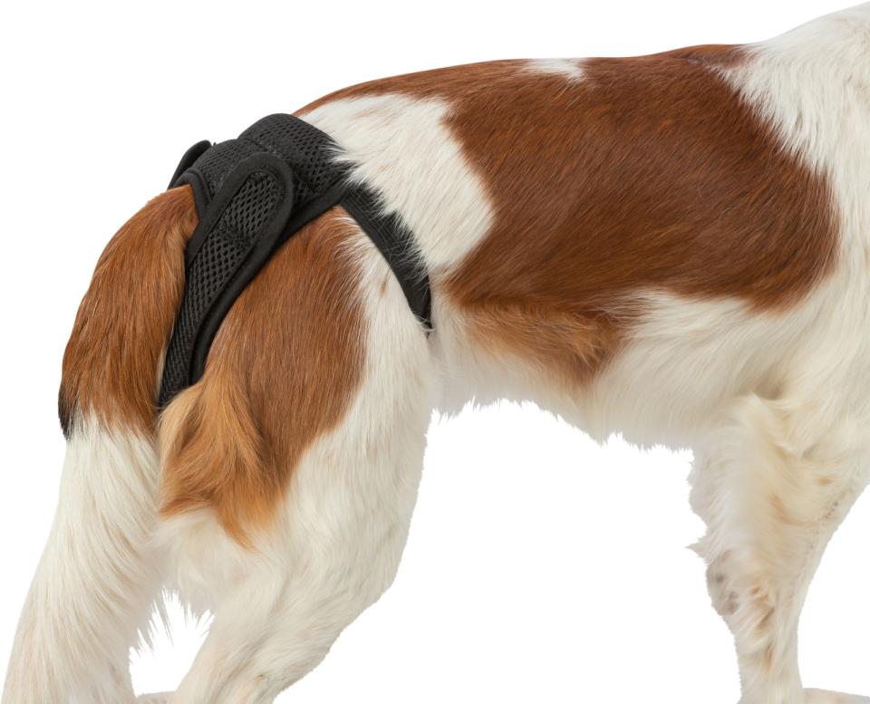 Løbetidsbukser til din hund, med velcro