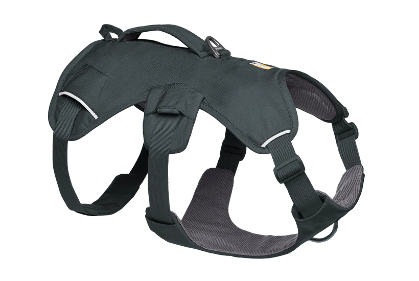 Web Master Harness fra Ruffwear – perfekt til aktive hunde