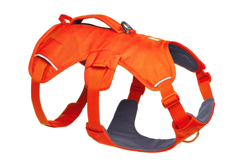 Web Master Harness fra Ruffwear – perfekt til aktive hunde