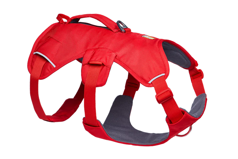 Web Master Harness fra Ruffwear – perfekt til aktive hunde