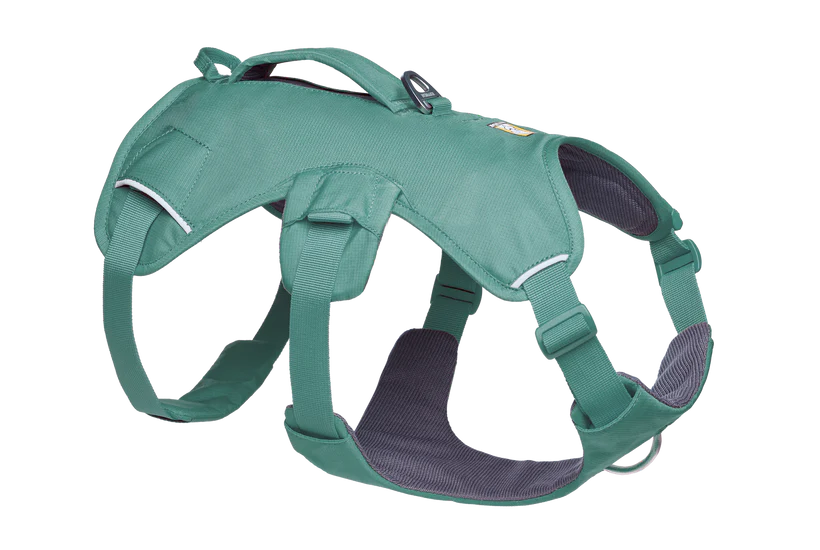 Web Master Harness fra Ruffwear – perfekt til aktive hunde