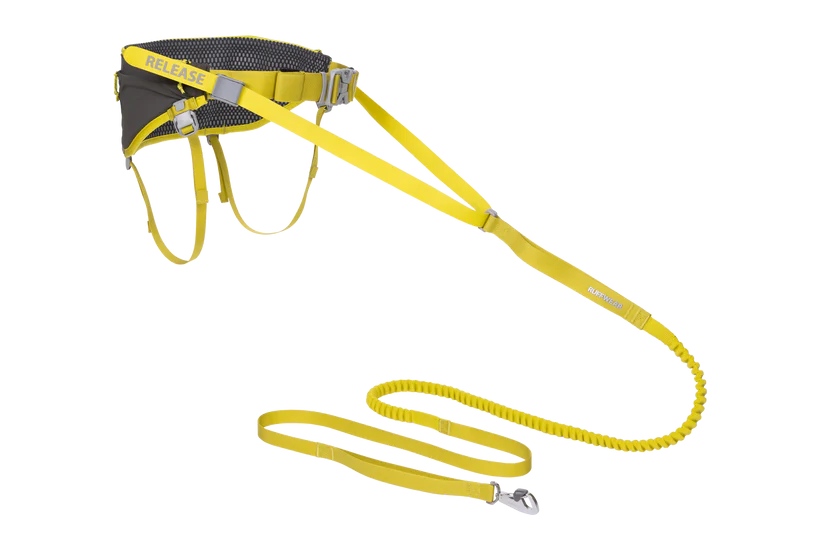 Omnijore Joring System fra Ruffwear – perfekt til aktive hunde