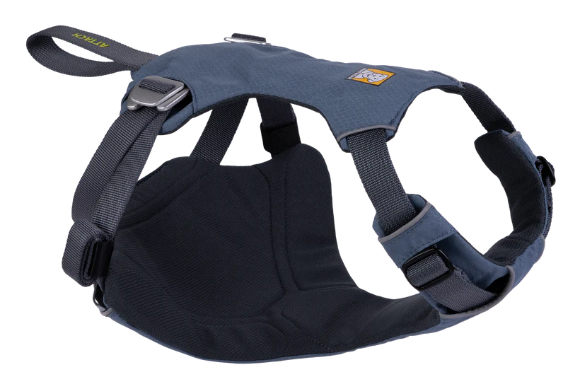 Load Up Harness fra Ruffwear – perfekt til aktive hunde