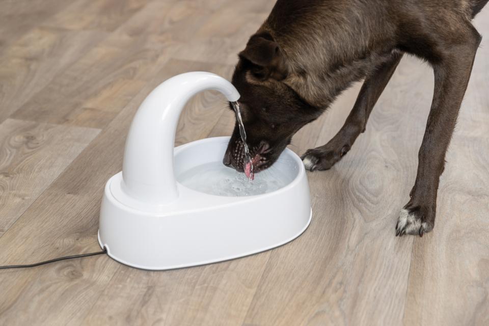 Vanddrikke fontaine, 2,5L