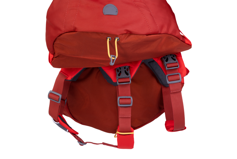 Palisades Pack fra Ruffwear – perfekt til aktive hunde