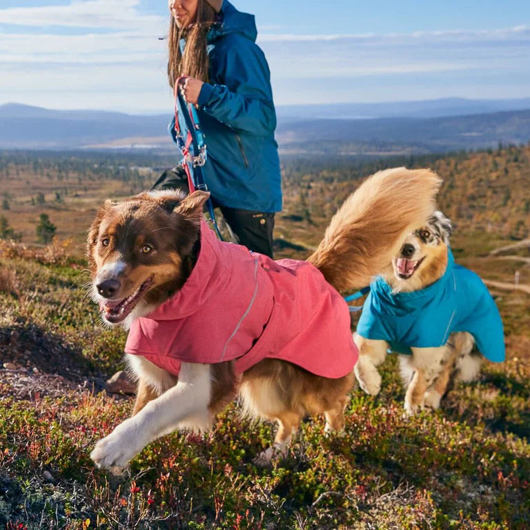 Hurtta Expedition Parka II - Vinterdækken til Hunde i NYE flotte farver