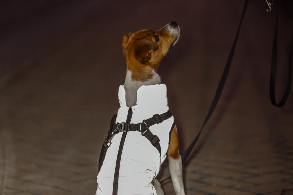 Hunde vinterjakke REFLEKS med sele LILLA (varm & vandtæt)
