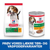 Hill's Science Plan hvalpefoder - Tørfoder til mellemstore hvalpe på op til 1 år med kylling