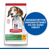 Hill's Science Plan hvalpefoder - Tørfoder til mellemstore hvalpe på op til 1 år med kylling