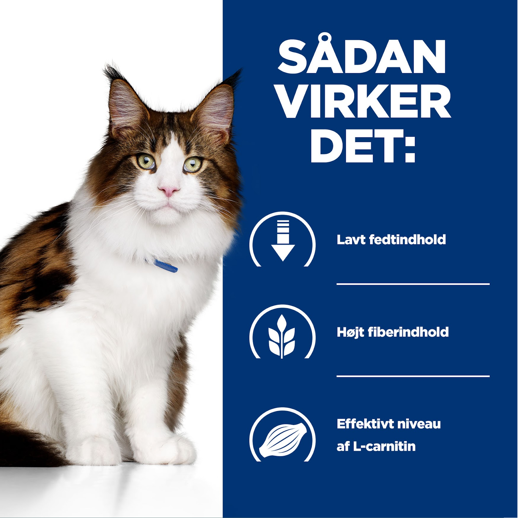 Hill's PRESCRIPTION DIET w/d Multi-Benefit kattefoder med kylling - 156g