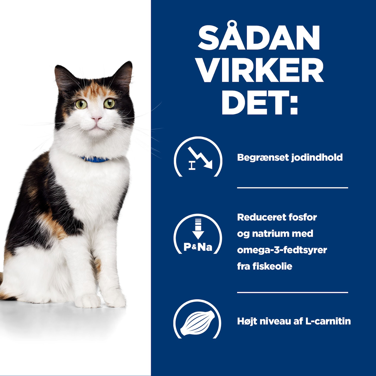 Hill's PRESCRIPTION DIET y/d Thyroid Care kattefoder med kylling – 156g | KORT DATO 12/2025