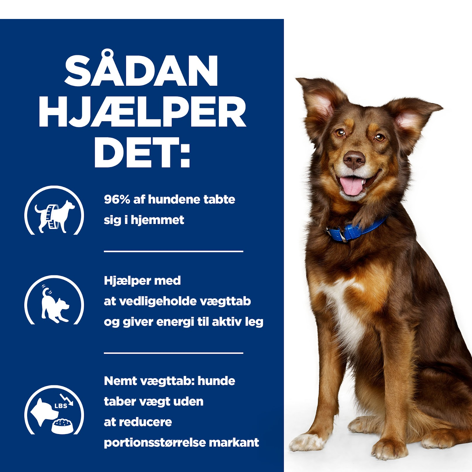 Hill's PRESCRIPTION DIET Metabolic Weight Management Stew hundefoder med kylling og tilsatte grøntsager 354g dåse