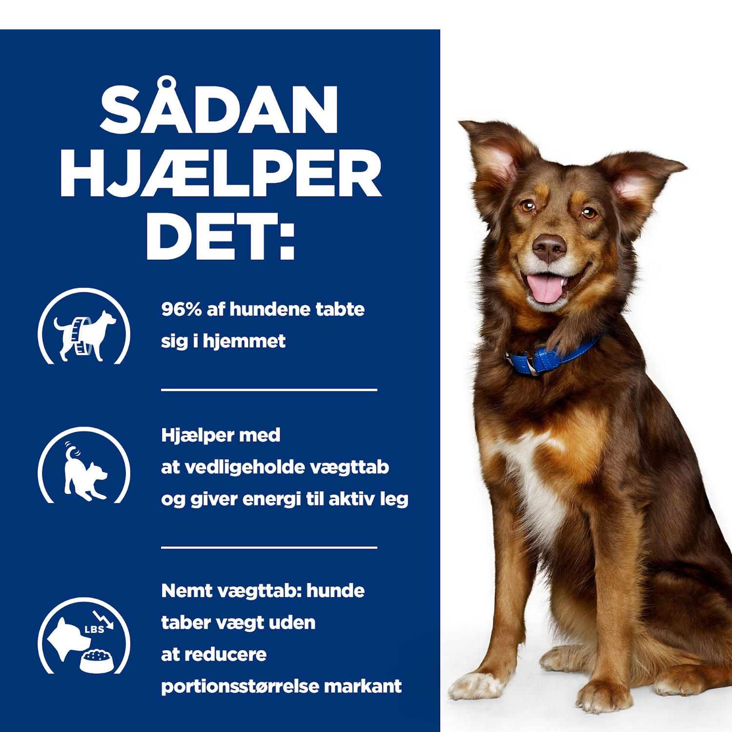 Hill's PRESCRIPTION DIET Metabolic Weight Management Stew hundefoder med kylling og tilsatte grøntsager 354g dåse