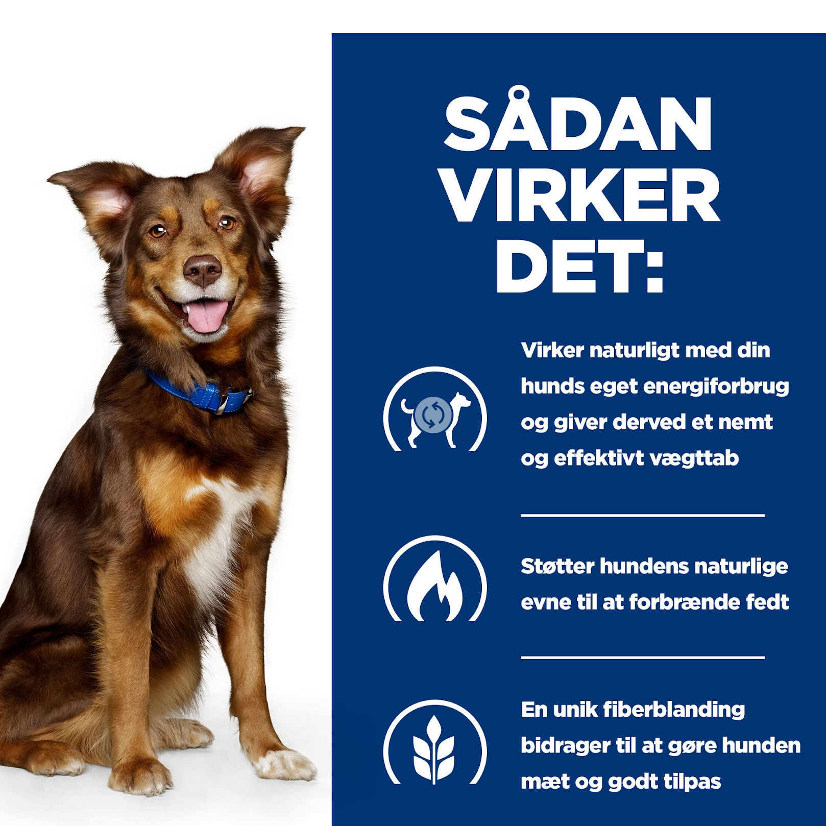 Hill's PRESCRIPTION DIET Metabolic Weight Management Stew hundefoder med kylling og tilsatte grøntsager 354g dåse
