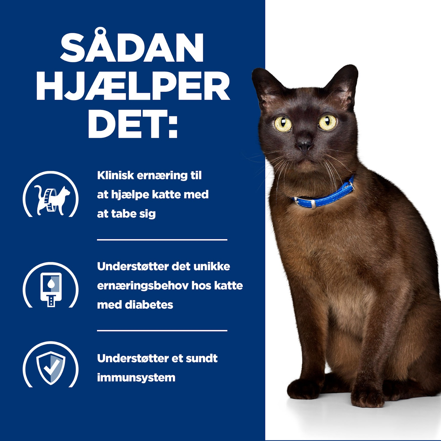 Hill's PRESCRIPTION DIET m/d Diabetes Care vådfoder til katte med lever 156g dåse