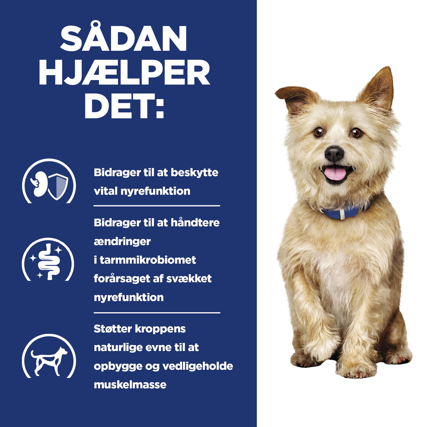 Hill's PRESCRIPTION DIET k/d Kidney Care Stew hundefoder med kylling og tilsatte grøntsager