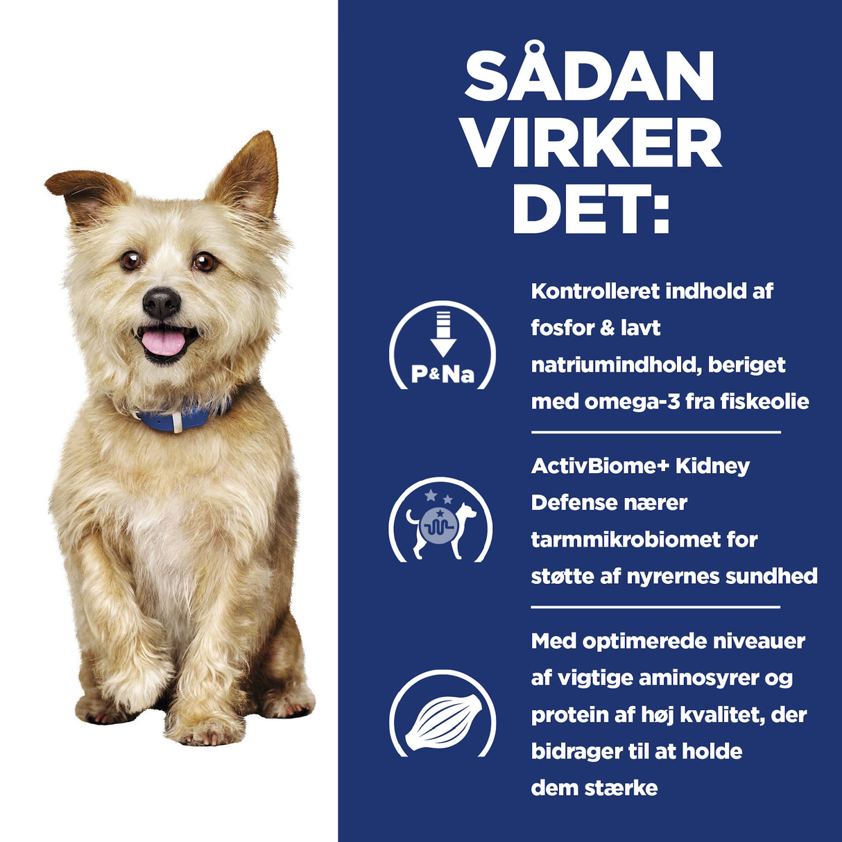 Hill's PRESCRIPTION DIET k/d Kidney Care Stew hundefoder med kylling og tilsatte grøntsager