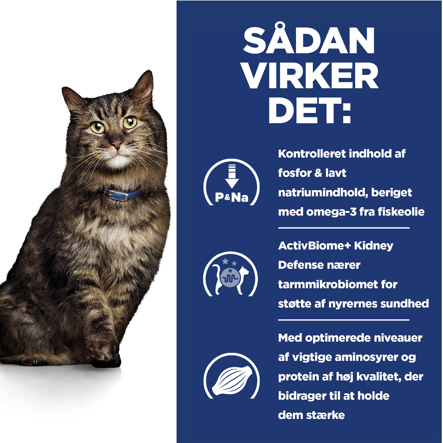 Hill’s PRESCRIPTION DIET k/d Early Stage vådfoder 12x85g til katte med kylling - Nyrepleje i tidligt stadie