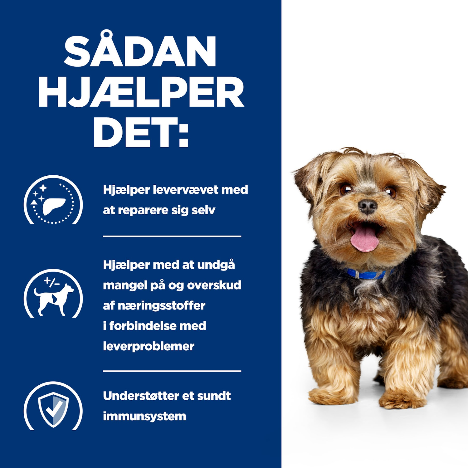 Hill's PRESCRIPTION DIET l/d Liver Care tørfoder til hunde