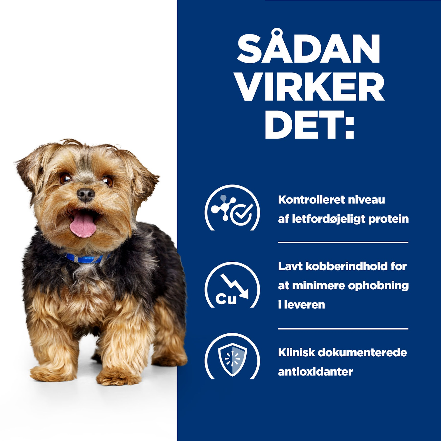 Hill's PRESCRIPTION DIET l/d Liver Care tørfoder til hunde