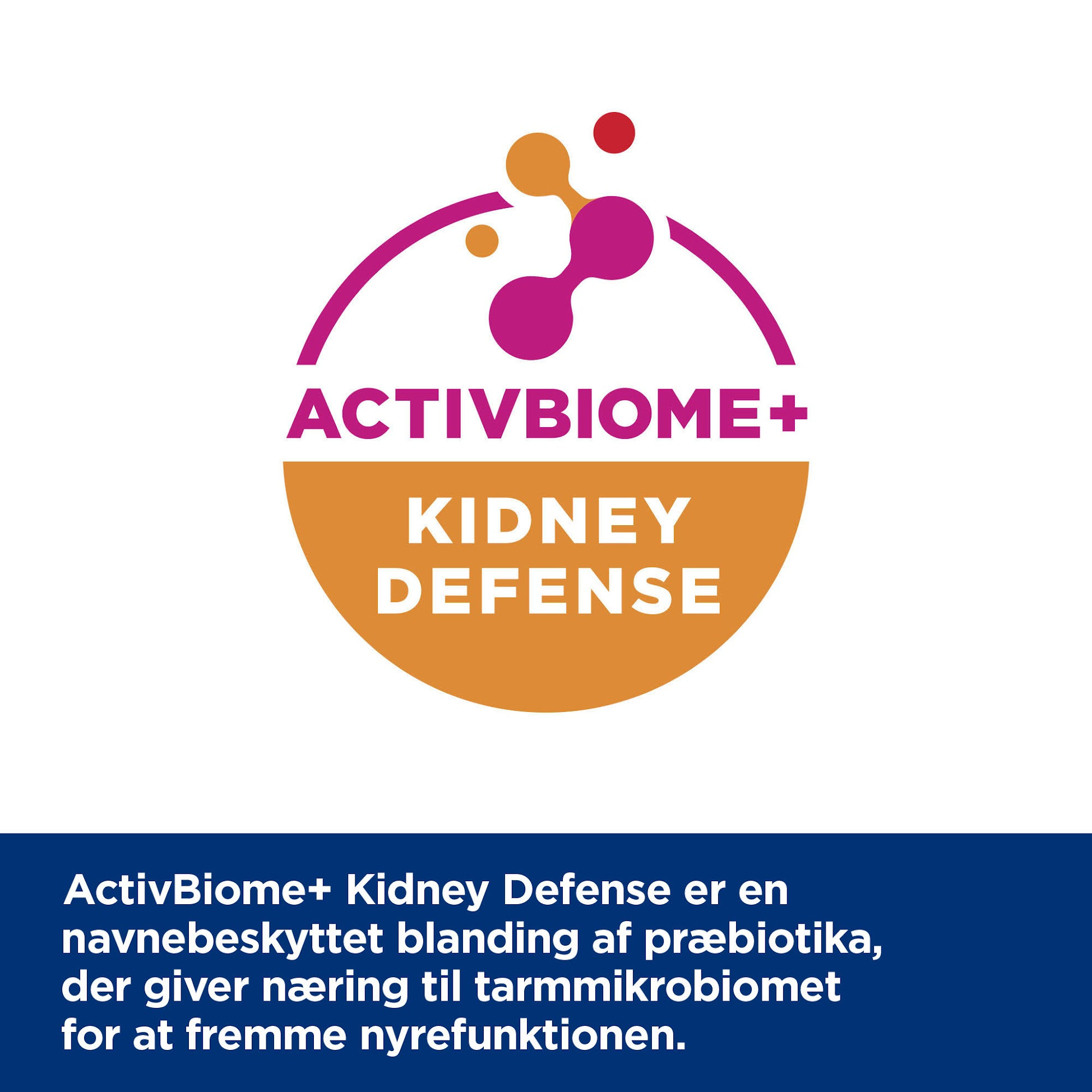 Hill's PRESCRIPTION DIET k/d Kidney Care tørfoder til hunde med kylling